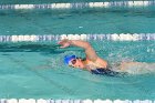 Swimming vs Bentley  Wheaton College Swimming & Diving vs Bentley College. - Photo by Keith Nordstrom : Wheaton, Swimming & Diving